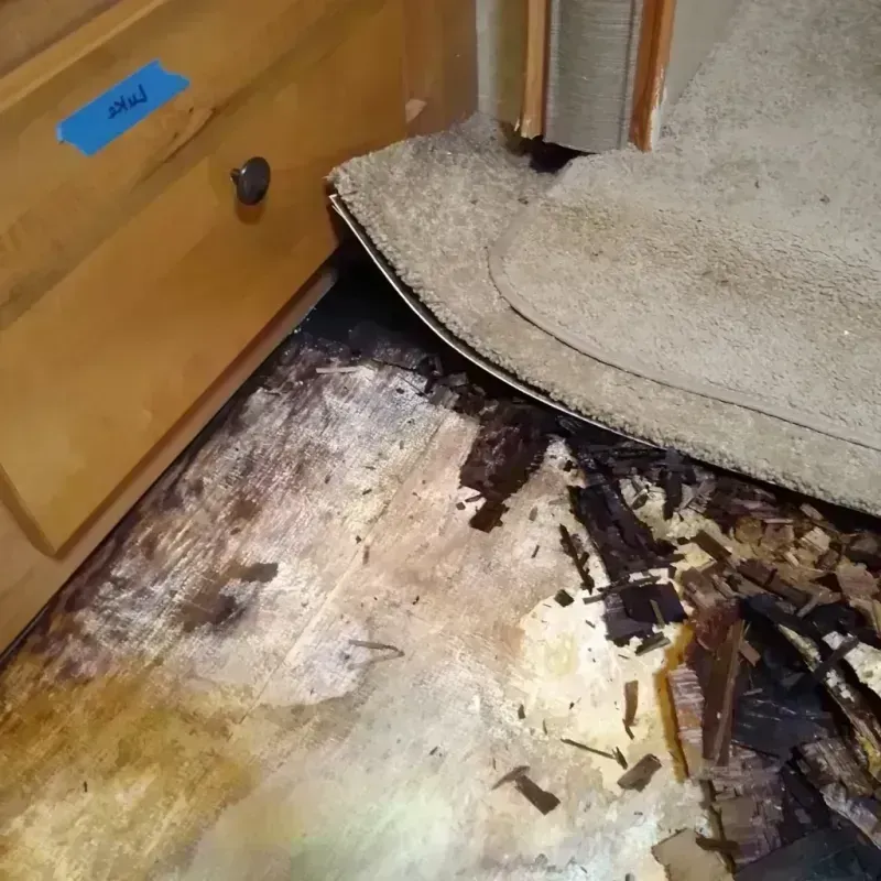 Best Wood Floor Water Damage Service in Barrow, AK